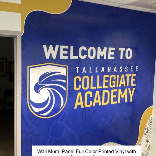 B. Custom Wallpaper Solutions & Custom Vinyl Graphics